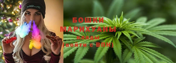 эйфоретик Арсеньев