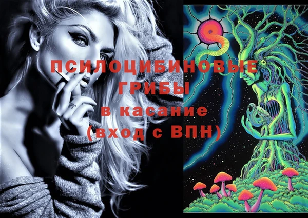 амф Алексин