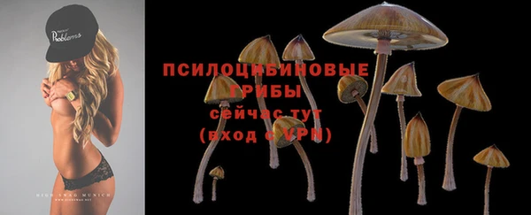 таблы Алзамай