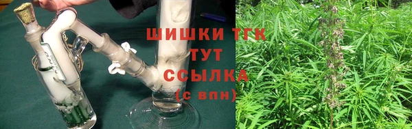 эйфоретик Арсеньев