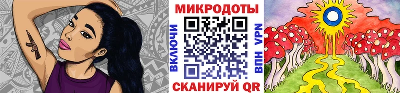 Псилоцибиновые грибы Psilocybe  сколько стоит  Ясный 